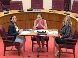 Chiste di mal gusto haci Diahuebs atardi den Parlamento