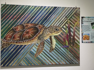 Exposicion 'Nos Laman y Turtuganan' na UNOCA