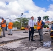 Ta forma parti di proyecto di embeyecimento y reforestacion di Oranjestad