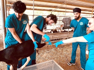 Studiantenan a sigui curso di cortamento di hoef na Santa Rosa