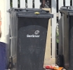 Parlamentario Mike de Meza ta propone sistema di ‘statiegeld’ pa soluciona problema di desperdicio na Aruba